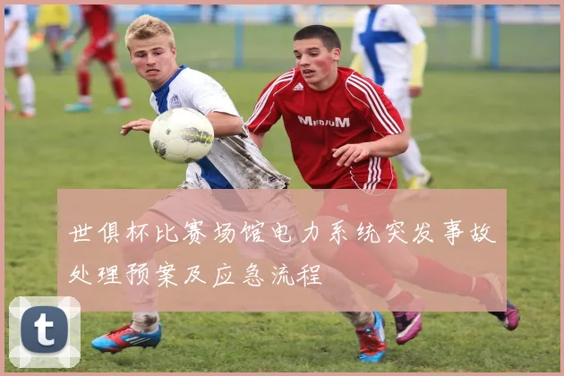 世俱杯比赛场馆电力系统突发事故处理预案及应急流程