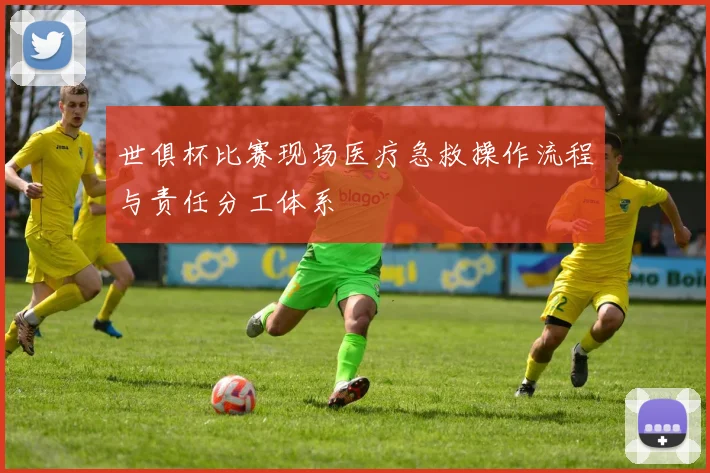 世俱杯比赛现场医疗急救操作流程与责任分工体系