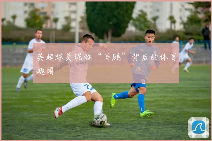 英超球员昵称“马腿”背后的体育趣闻